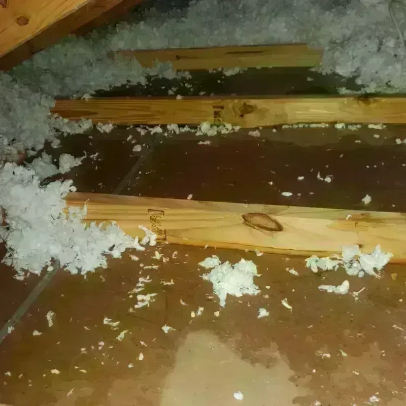 Attic Water Damage in Union Parish, LA